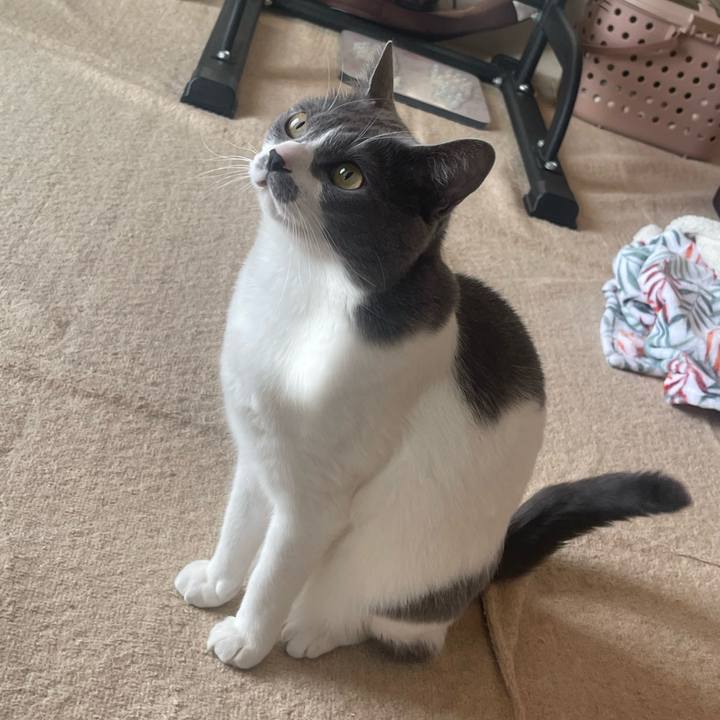 A79fb70a 4b05 4092 bb9f 6fbf75bf9754 1675293759109