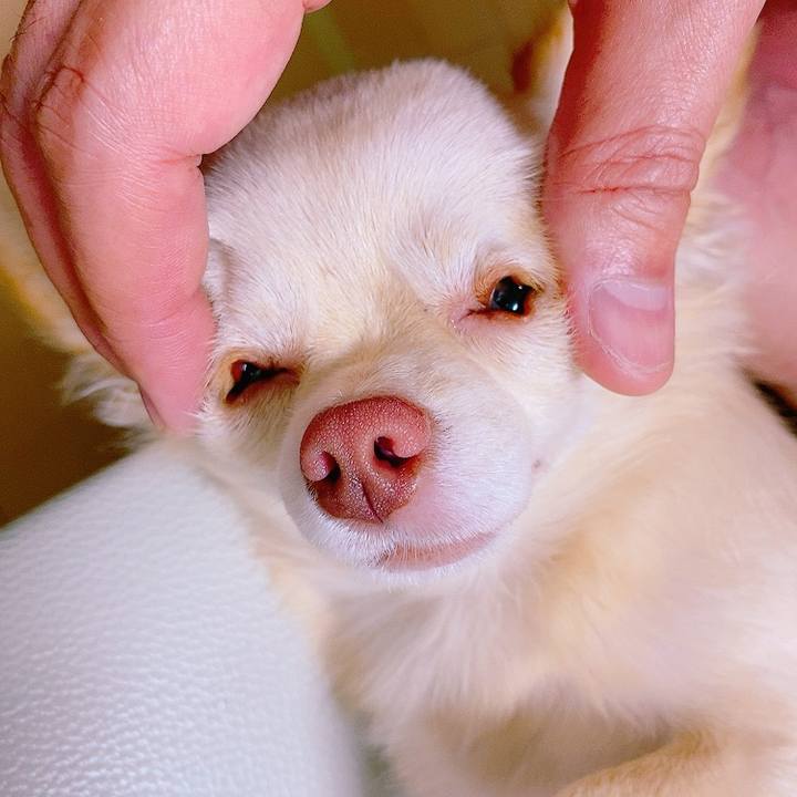 A79fc2fb 8518 47e9 9ec7 d8d87bbbaae1 1632636836656