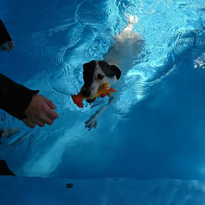 A7a01977 4824 4b15 994b baf96ca49ac5 1514950500675