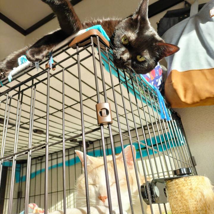 A7a047ac da3c 45b8 a819 d8a8a499e2b4 1676416760015