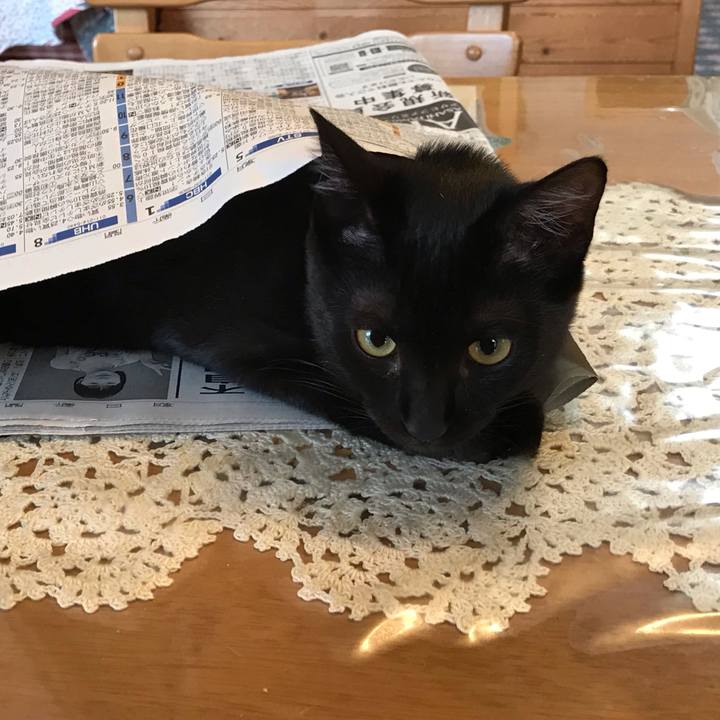 A7a05afd 4d49 4087 90d2 8d954f079e31 1569879414579