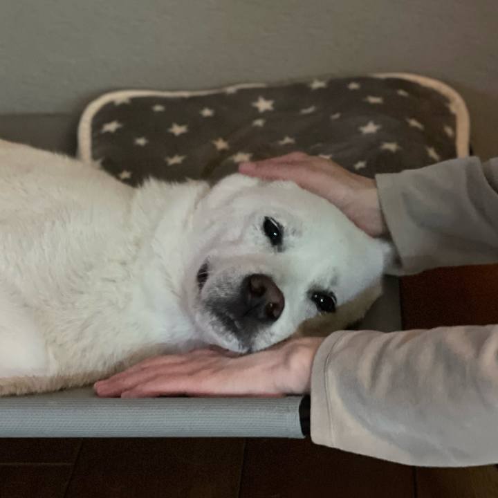 A7a0a728 52dc 4869 b5eb 30d78c182dbe 1682346190363