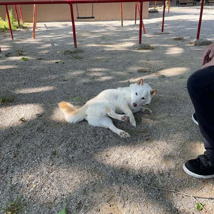 A7a0e440 32bb 4f6b 9a32 1d7f160cadb6 1651575076989