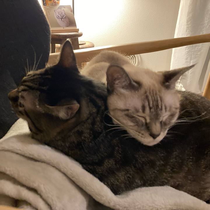 A7a0e909 2d26 4ec9 a5a9 885ed3506a1e 1730976334840