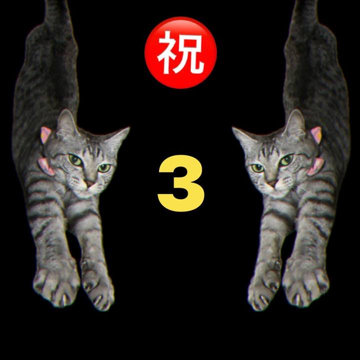 A7a0f644 bde1 4e2c 9fc2 6e5f3ce01870 1752779324677