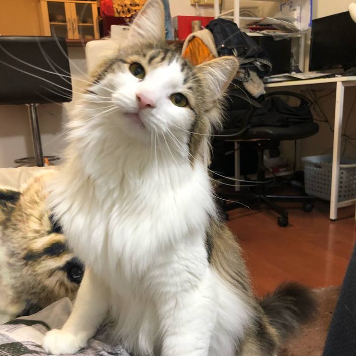 A7a16b6b 89a4 4f01 8334 350973ccfbc5 1555423499014