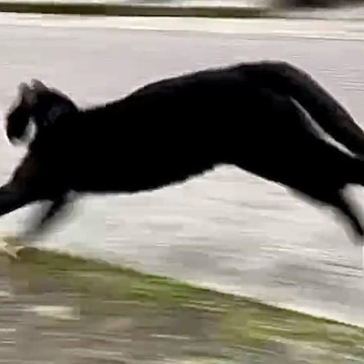 A7a16f2f f7bd 4b25 bf7f ad6420889122 1733729282562