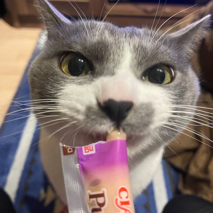 A7a18940 ca9f 4df1 bac6 eb44e2ca3120 1673343001397