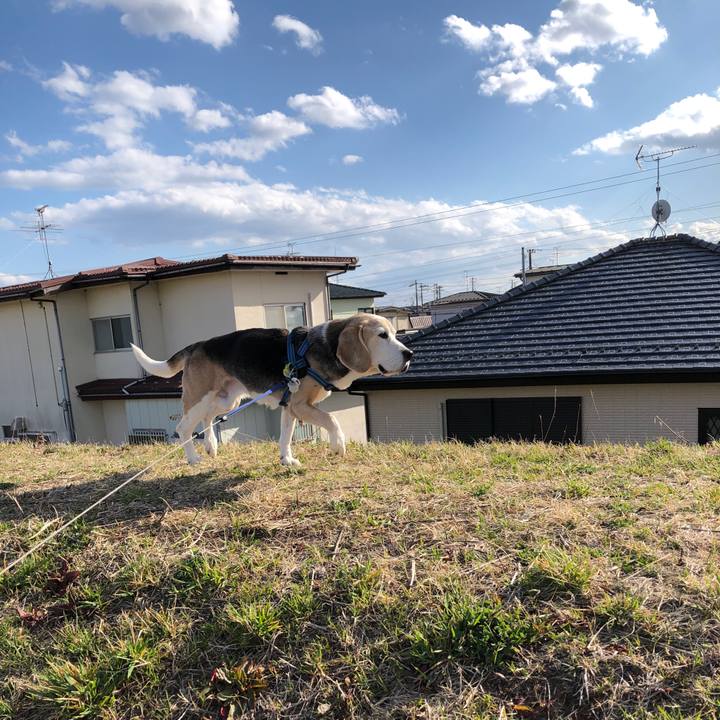 A7a1bd18 440b 45cb 9524 f8d90ae05d07 1584582792425