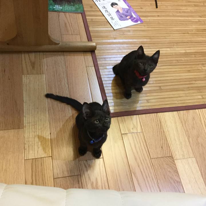 A7a253c9 710e 4c84 9734 e6028ea0d935 1535291880275