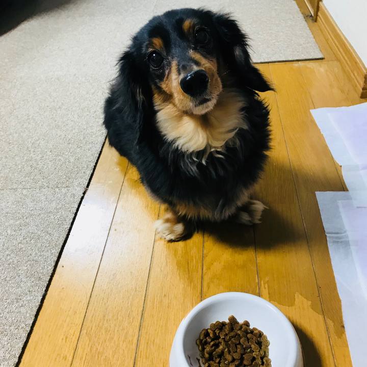 A7a2c236 083c 48e6 8cf6 66017b0b902c 1515707536937