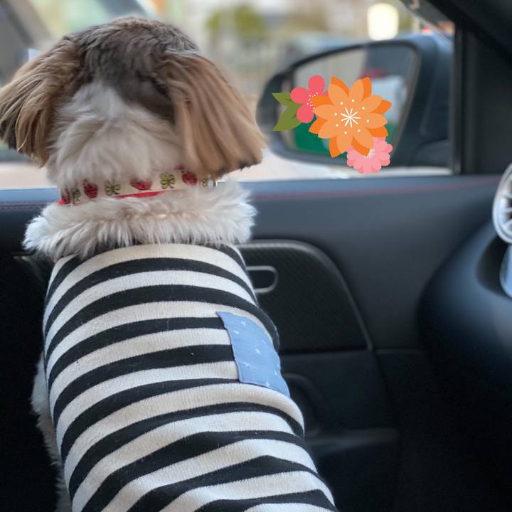 A7a2d1dc 94a0 4d2a 8af5 3243c0bb17de 1618055766467