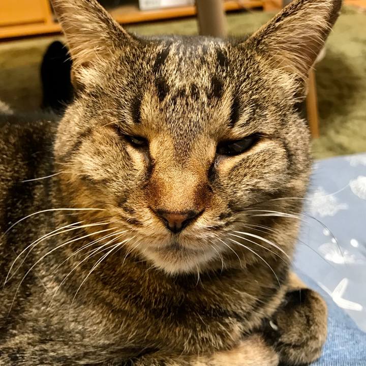 A7a2d551 0b1f 4b67 91d1 8de4bc67784e 1581838061778