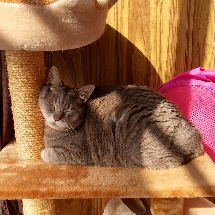 A7a30430 b769 43bc 82d9 9b2b8042074b 1619909579061