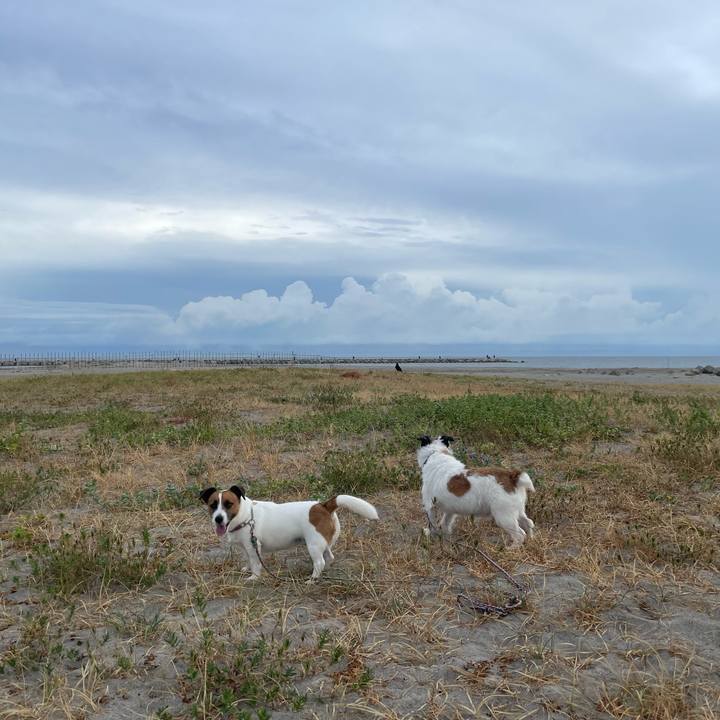 A7a31568 c3c8 42d0 b244 d4280e423420 1693607664736