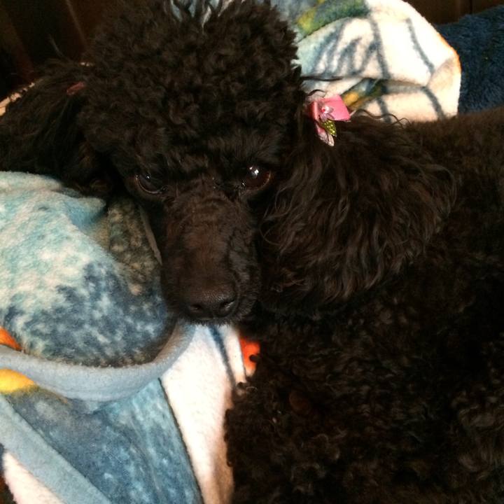 A7a316f0 8da2 4dc5 9922 97f7dd955bff 1556151151988