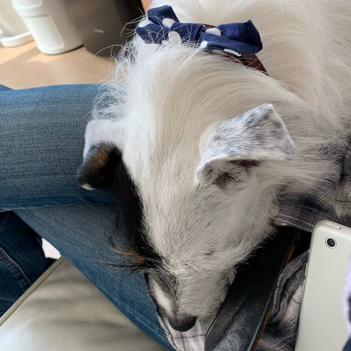 A7a32401 ebad 4a73 be87 a89d7d1b08fe 1650346998616