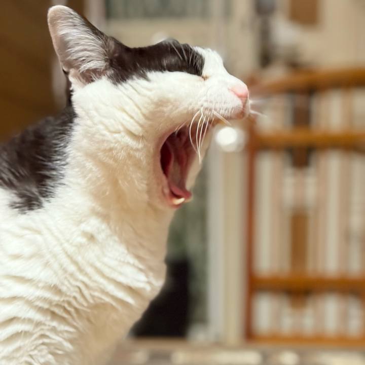 A7a331a2 d3eb 47ad ba4d 7f9fd5cb50f0 1751422314821