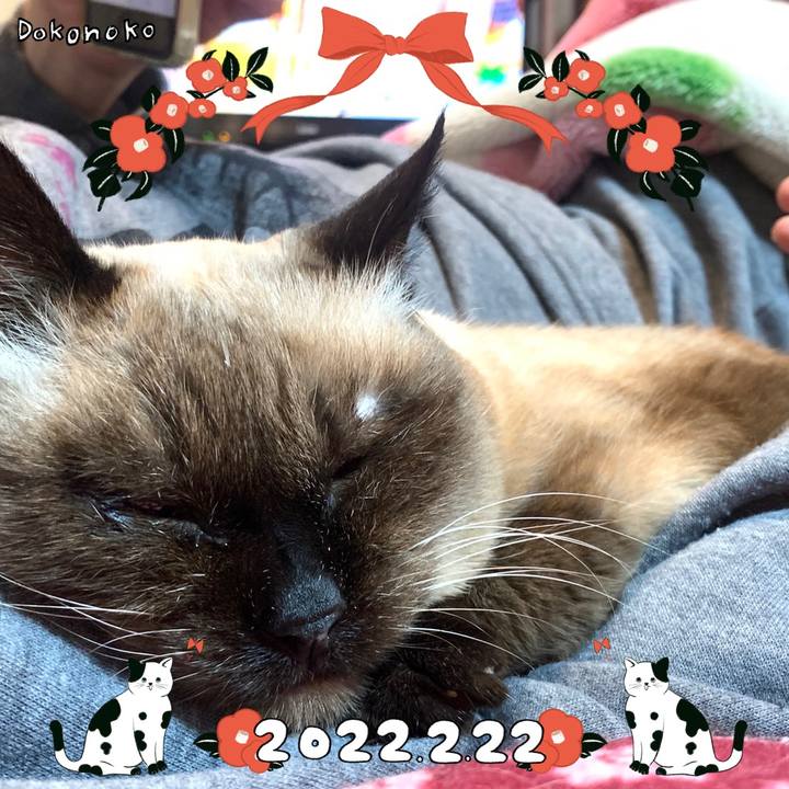 A7a3378a e09a 435a b202 5b07fda4c464 1645494399866