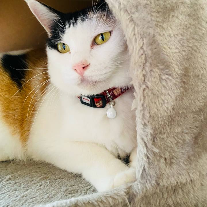 A7a376e1 0fdb 4326 a8ff 6c53c7e66afa 1662288317365