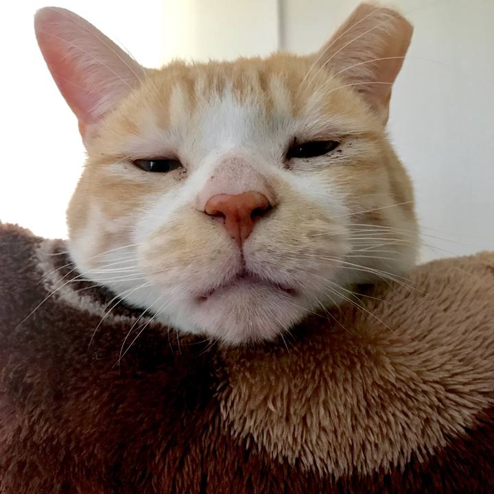 A7a38108 8fd9 4688 be7e 92c7351c8670 1515054265393