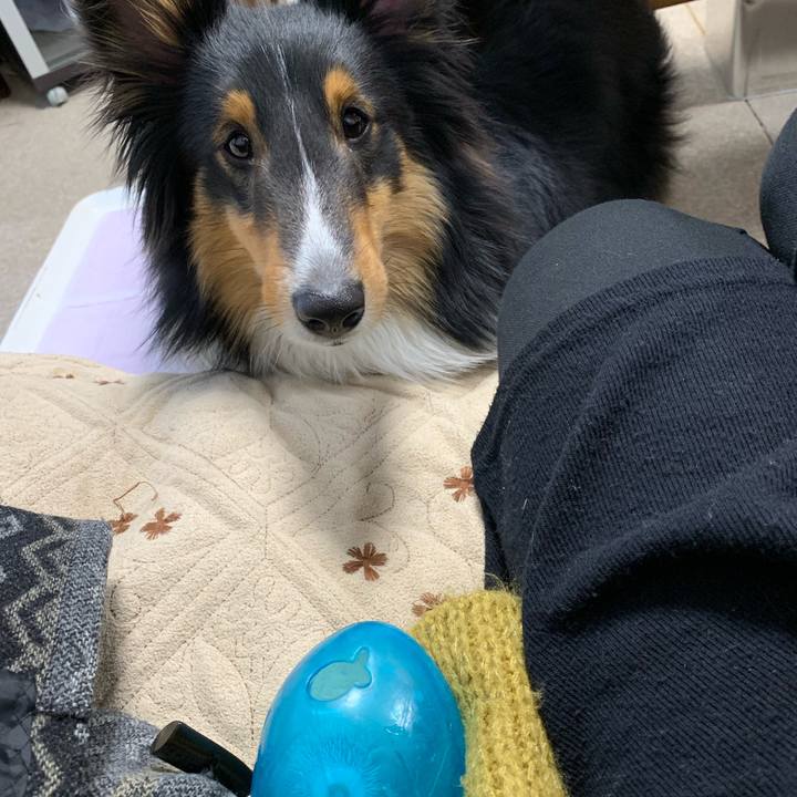 A7a38306 0f76 468e a6b9 c7c1023ecc78 1550181458190