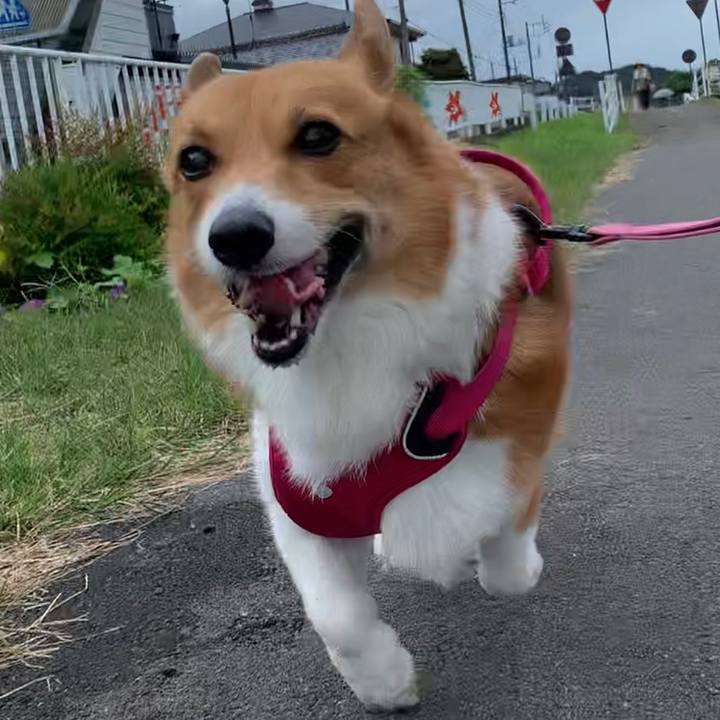 A7a3a695 8166 4472 8fa3 f82a76cc4149 1663643062748