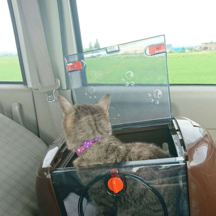 A7a3c0a9 3855 48a2 8609 f3e262ed720a 1594432043112