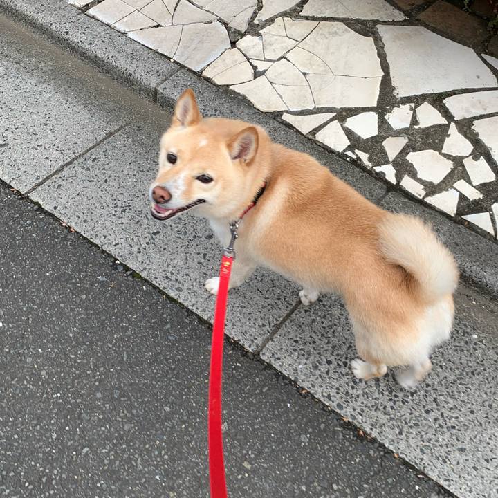 A7a3de21 1057 43e6 8780 53d219058586 1633601989332