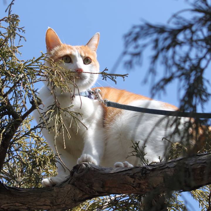 A7a3f09c d68f 4048 aa3c 6b914cffca61 1520828463749