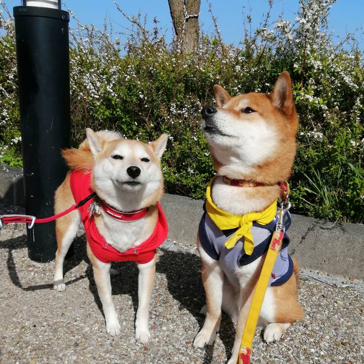 A7a3f1b3 6bcb 4ea5 b5e1 8c6780111e91 1584806953824