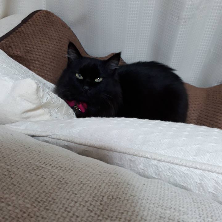 A7a3ff0e 2a61 4cf3 9130 b45c68619045 1518382471260