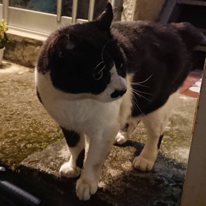 A7a4fc45 7a2a 4355 990c 3a1a37b661c0 1550720886343