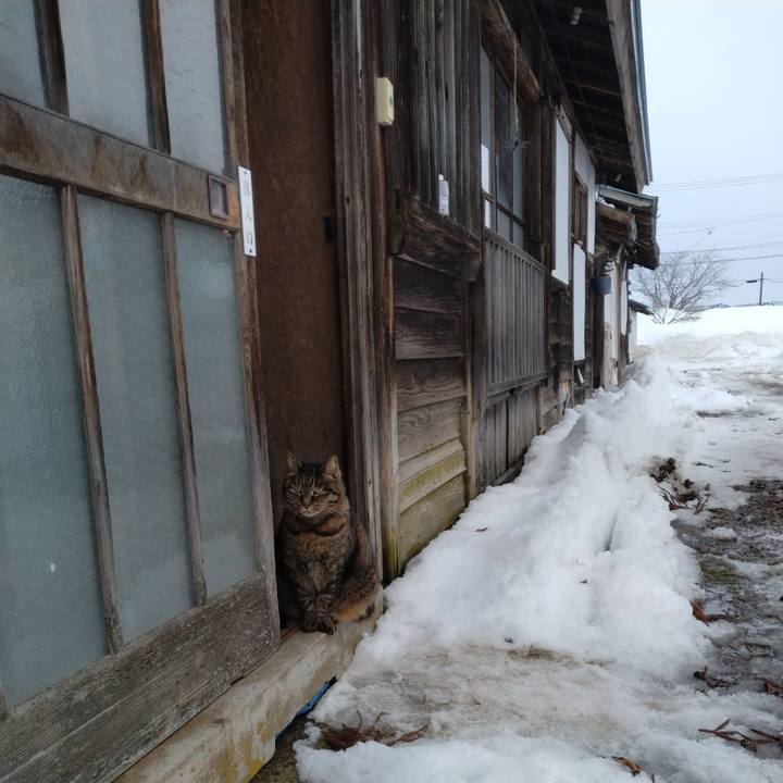 A7a50960 9e03 4aec bee5 f0d219eddcc3 1739344821299