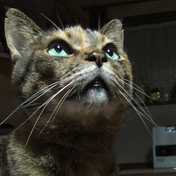 A7a521ef 9112 4759 82cd 4e09ed45e5c5 1547561876172