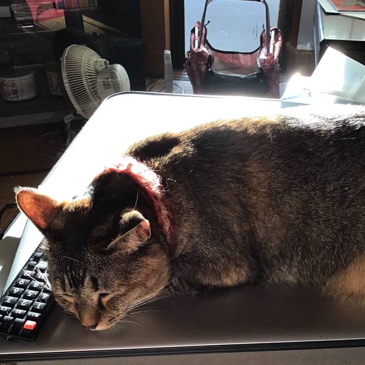 A7a53f59 bd64 4853 a5cc 344b6f29c370 1632391324289