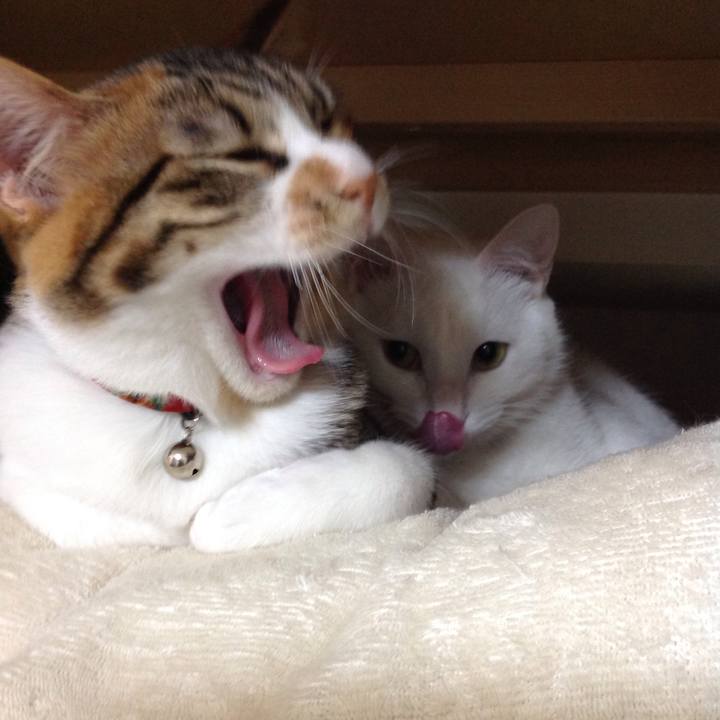 A7a550ff f15e 4082 ad44 d3adb93e92b1 1642976987719