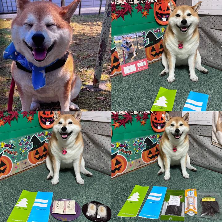 A7a55603 1292 475f aba3 38ec156cffd2 1695035221587