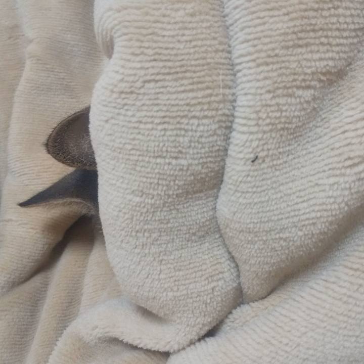 A7a56794 f9cf 4e0e 913c 374a32ecfab8 1706706678177