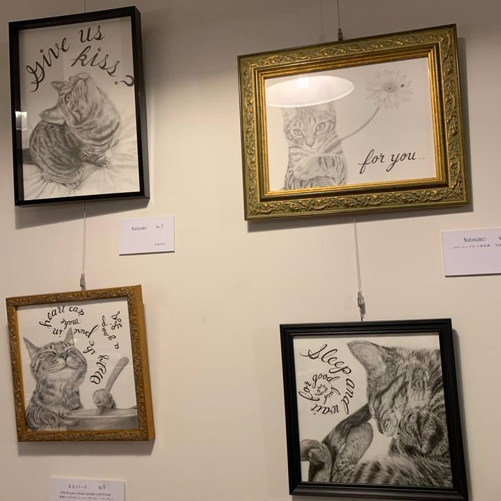 A7a5a766 8af9 4879 bf4b 73ee1b920002 1575365539008