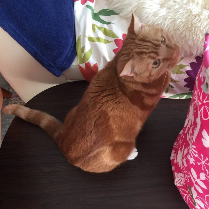 A7a62048 58bf 427b 8c16 240b8839d336 1579313813664