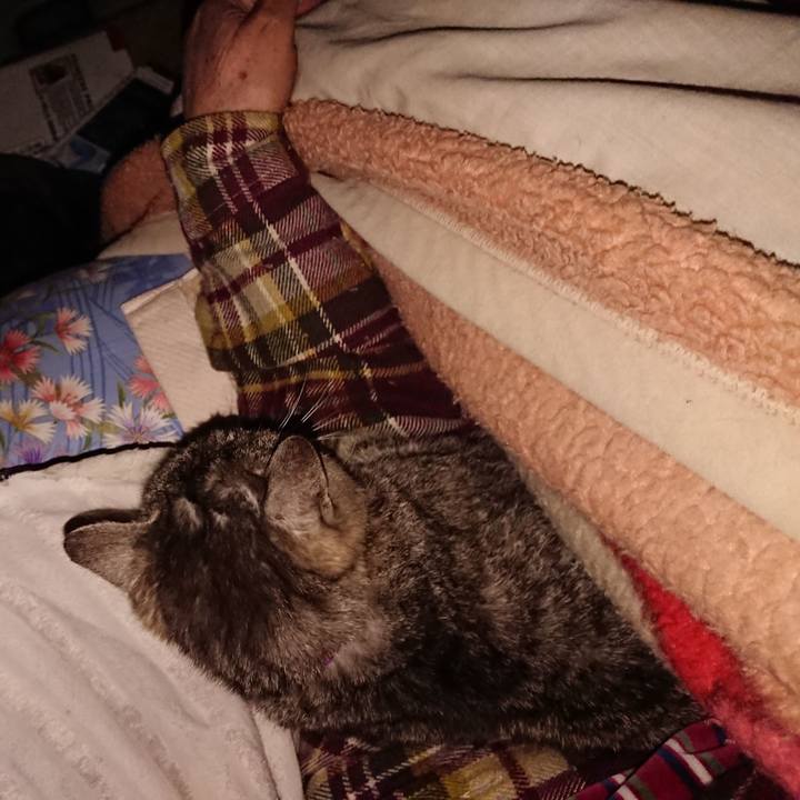 A7a63853 ad62 4833 97f3 9db1be63f39b 1585489452998