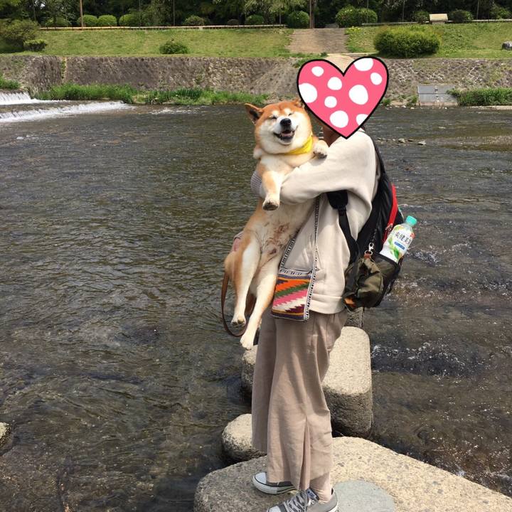 A7a64594 f156 44b4 a642 216e81f602d6 1524392927497