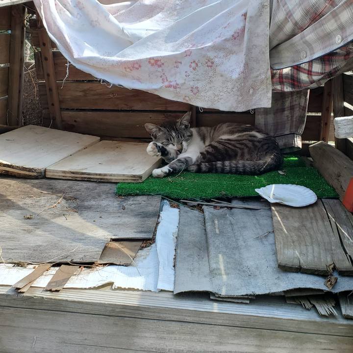 A7a64789 33f7 468f 964f 6a363594cd45 1749699770178