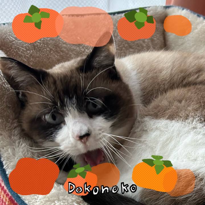 A7a6aa6e f6fb 4859 9194 314c0ebf9add 1761563848914