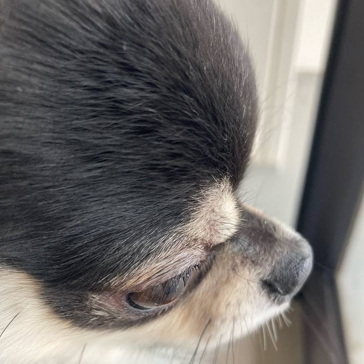 A7a6b0ce 29a3 472d 8354 b04b028b7773 1610857076795