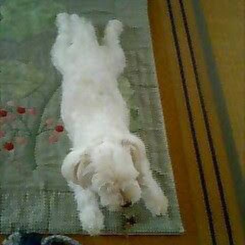 A7a6b9be 7794 4e38 a4c8 88a989b1fb81 1556504799471