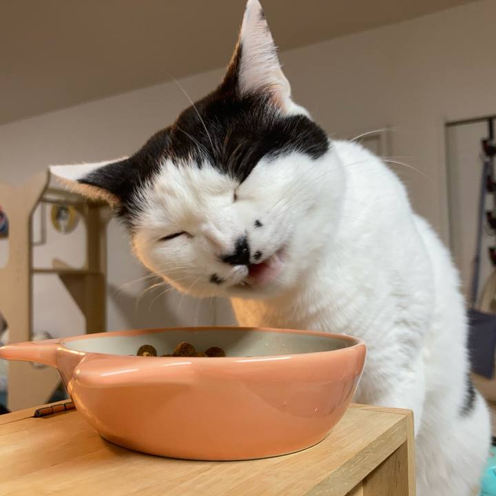 A7a6f0c6 7808 4364 bf33 2cc885280be5 1772139595195