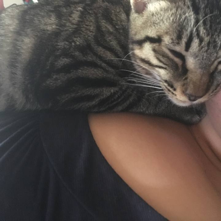 A7a70197 4eab 4d54 ae80 cb6951ff92d2 1541137592857