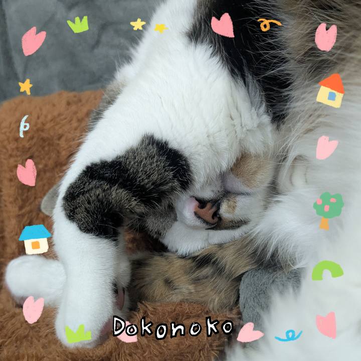 A7a70f60 dd75 4026 90f2 fda4e394a1c4 1741129777637